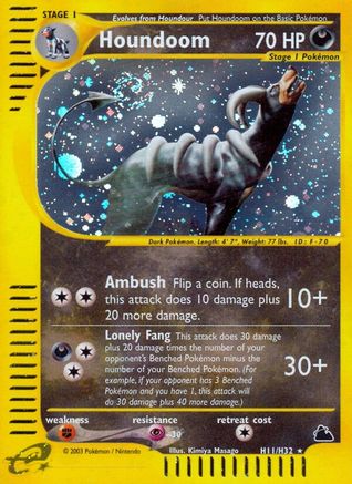 Houndoom (H11/H32) [Skyridge]-1