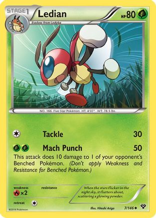 Ledian (7/146) [XY: Base Set]-1