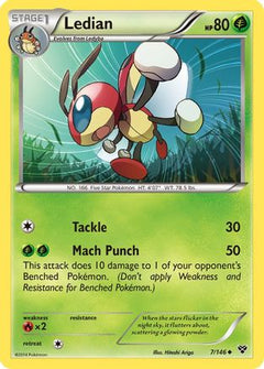 Ledian (7/146) [XY: Base Set]-1