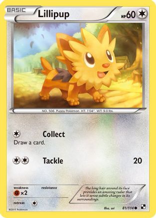 Lillipup (81/114) [Black & White: Base Set]-1