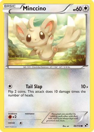 Minccino (88/114) [Black & White: Base Set]-1