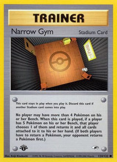 Narrow Gym (124/132) [Gym Heroes Unlimited]-1