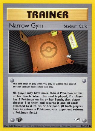 Narrow Gym (124/132) [Gym Heroes Unlimited]-1