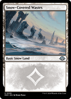 Snow-Covered Wastes (0229) [Modern Horizons 3]-1