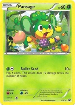Pansage (BW14) [Black & White: Black Star Promos]-1