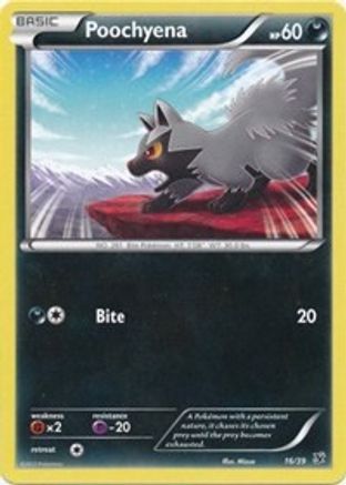 Poochyena (16/39) [XY: Kalos Starter Set]-1