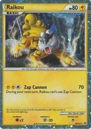 Raikou (HGSS19) [HeartGold & SoulSilver: Black Star Promos]-1
