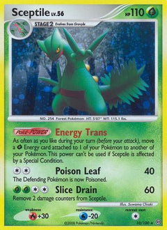 Sceptile (10/100) [Diamond & Pearl: Stormfront]-1