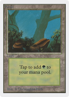 Forest (300) [Unlimited Edition]-1