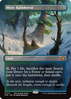 Misty Rainforest (Borderless) [Tarkir: Dragonstorm Special Guests]-1