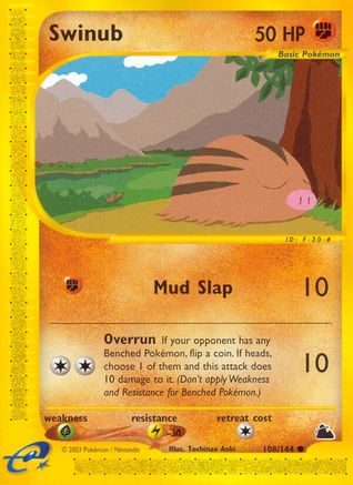 Swinub (108/144) [Skyridge]-1