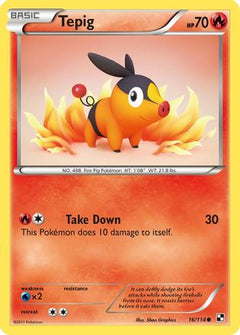 Tepig (16/114) [Black & White: Base Set]-1