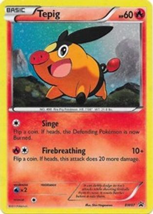 Tepig (BW07) [Black & White: Black Star Promos]-1