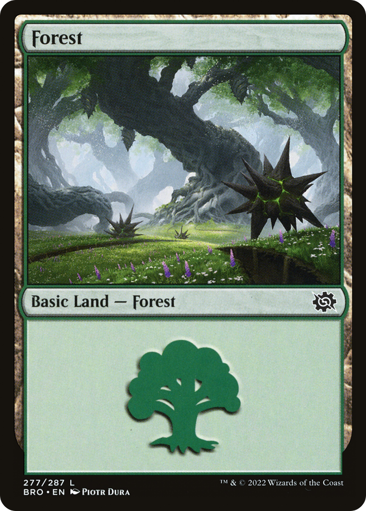 Forest (277) [The Brothers' War]-1
