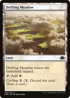 Drifting Meadow [Dominaria Remastered]-1