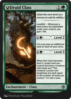 A-Druid Class (AFR-A-180) - Adventures in the Forgotten Realms-1
