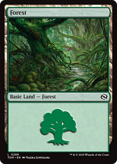 Forest (0286) [Tarkir: Dragonstorm]-1