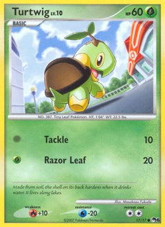 Turtwig (17/17) [POP Series 6]-1