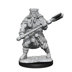 D&D Nolzurs Marvelous Unpainted Miniatures Human Barbarian Male