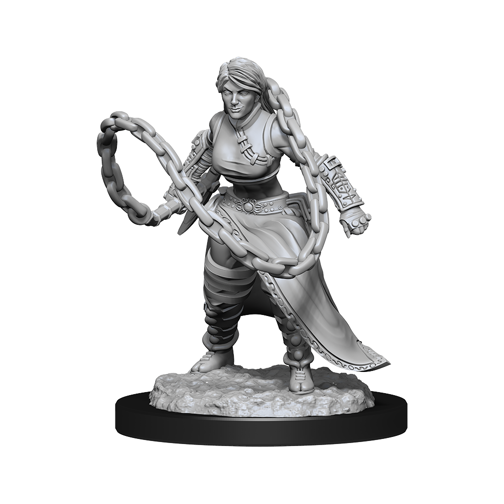 D&D Nolzurs Marvelous Unpainted Miniatures Human Monk Female