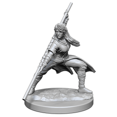 D&D Nolzurs Marvelous Unpainted Miniatures Human Monk Female