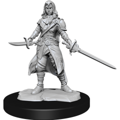 D&D Nolzurs Marvelous Unpainted Miniatures Half-Elf Rogue Female