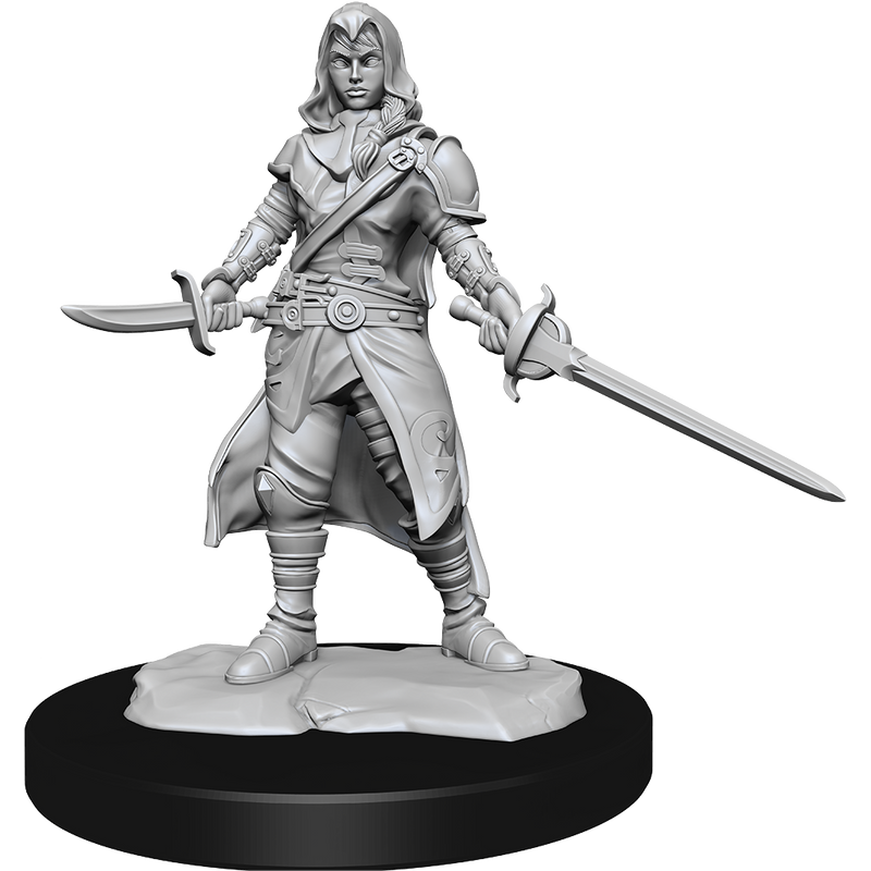 D&D Nolzurs Marvelous Unpainted Miniatures Half-Elf Rogue Female