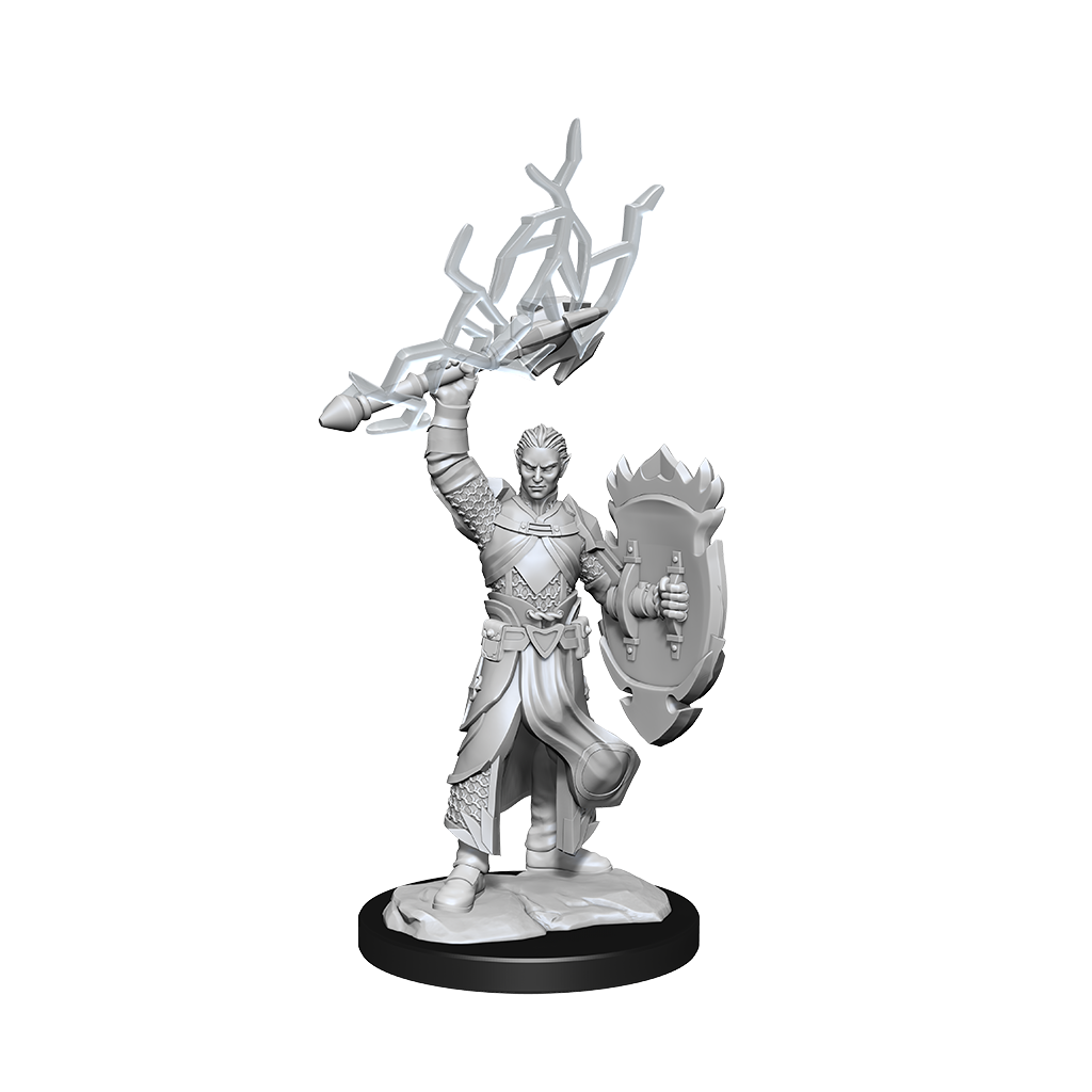 D&D Nolzurs Marvelous Unpainted Miniatures Half-Elf Paladin Male