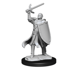 D&D Nolzurs Marvelous Unpainted Miniatures Half-Elf Paladin Male
