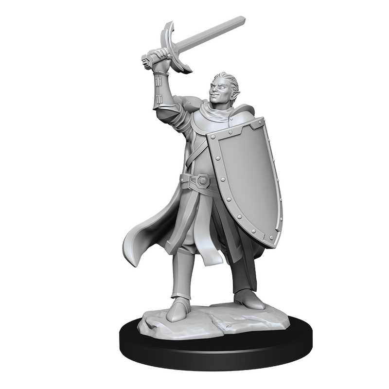 D&D Nolzurs Marvelous Unpainted Miniatures Half-Elf Paladin Male