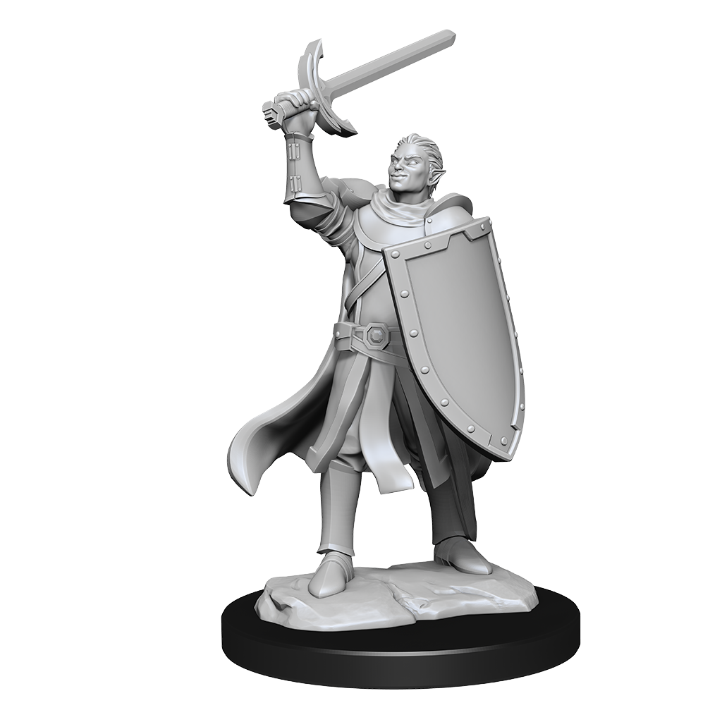 D&D Nolzurs Marvelous Unpainted Miniatures Half-Elf Paladin Male