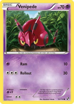 Venipede (52/114) [Black & White: Base Set]-1