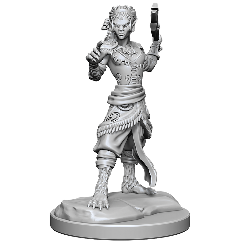 D&D Nolzurs Marvelous Miniatures Shifter Fighter