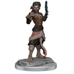 D&D Nolzurs Marvelous Miniatures Shifter Fighter