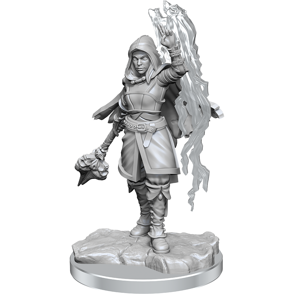 D&D Nolzurs Marvelous Miniatures Half-Elf Warlock