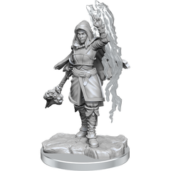 D&D Nolzurs Marvelous Miniatures Half-Elf Warlock