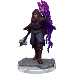 D&D Nolzurs Marvelous Miniatures Half-Elf Warlock