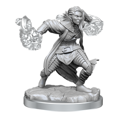D&D Nolzurs Marvelous Miniatures Half-Elf Warlock