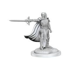 D&D Nolzurs Marvelous Miniatures Death Knights