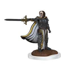 D&D Nolzurs Marvelous Miniatures Death Knights