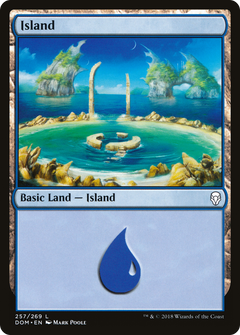Island (257) [Dominaria]-1