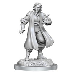 Critical Role Unpainted Miniatures Male Human Sorcerer Merchant & Tiger Demon