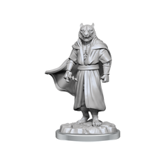 Critical Role Unpainted Miniatures Male Human Sorcerer Merchant & Tiger Demon