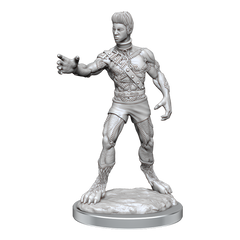 D&D Nolzurs Marvelous Miniatures Headless Monster