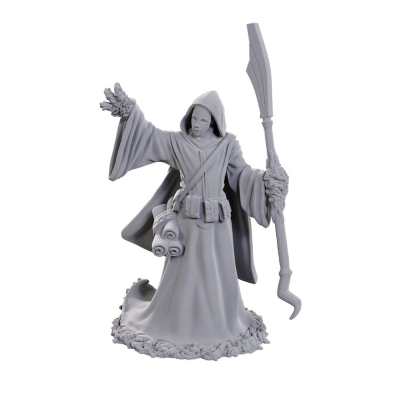D&D Nolzur's Marvelous Miniatures: Star Spawn Larva Mage-1
