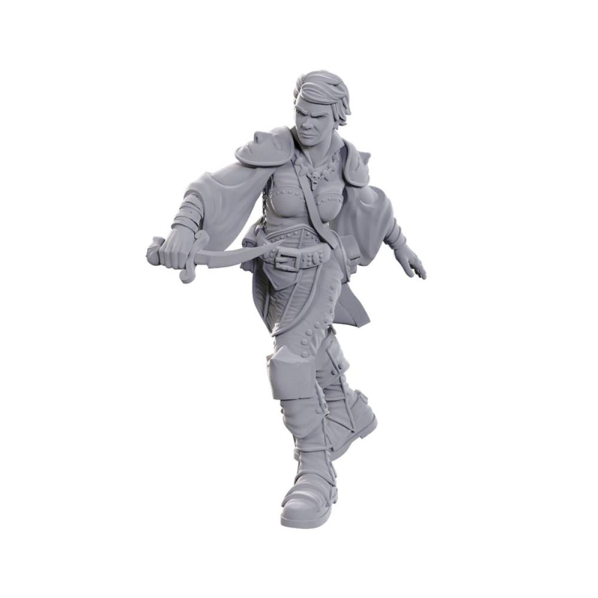 D&D Nolzur's Marvelous Miniatures: Swashbuckler-1
