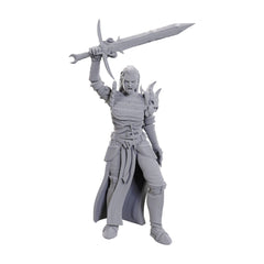 D&D Nolzur's Marvelous Miniatures: Blackguard-1