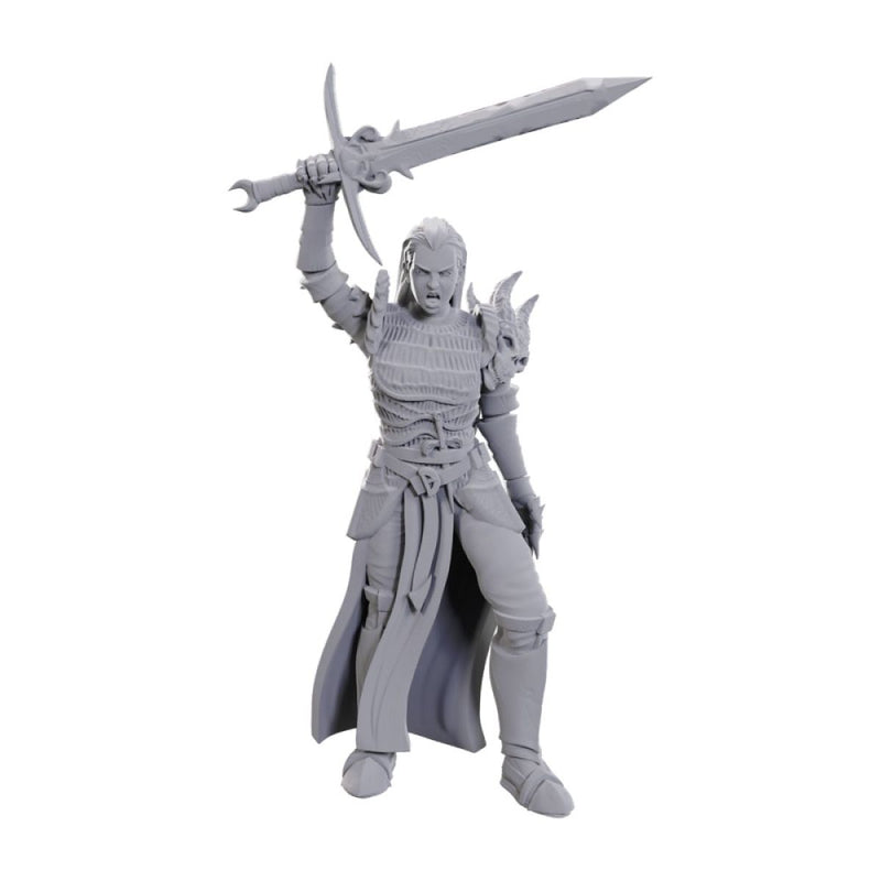 D&D Nolzur's Marvelous Miniatures: Blackguard-1
