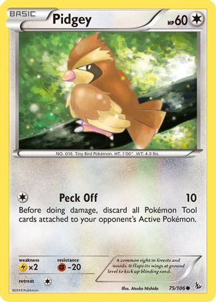 Pidgey (75/106) [XY: Flashfire]-1