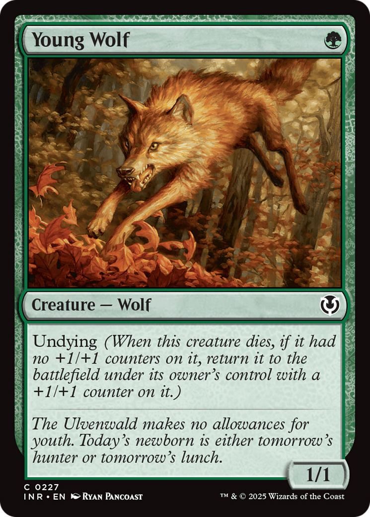 Young Wolf [Innistrad Remastered]-1